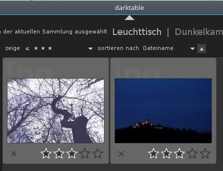 Darktable: Bilder auf dem Leuchttisch vorsortieren